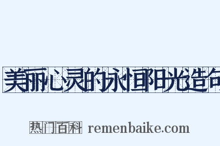 美丽心灵的永恒阳光造句是什么意思的图片